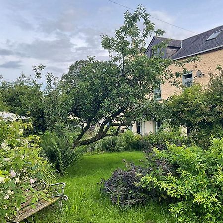 Ynyswen Bed & Breakfast Nantgaredig ภายนอก รูปภาพ