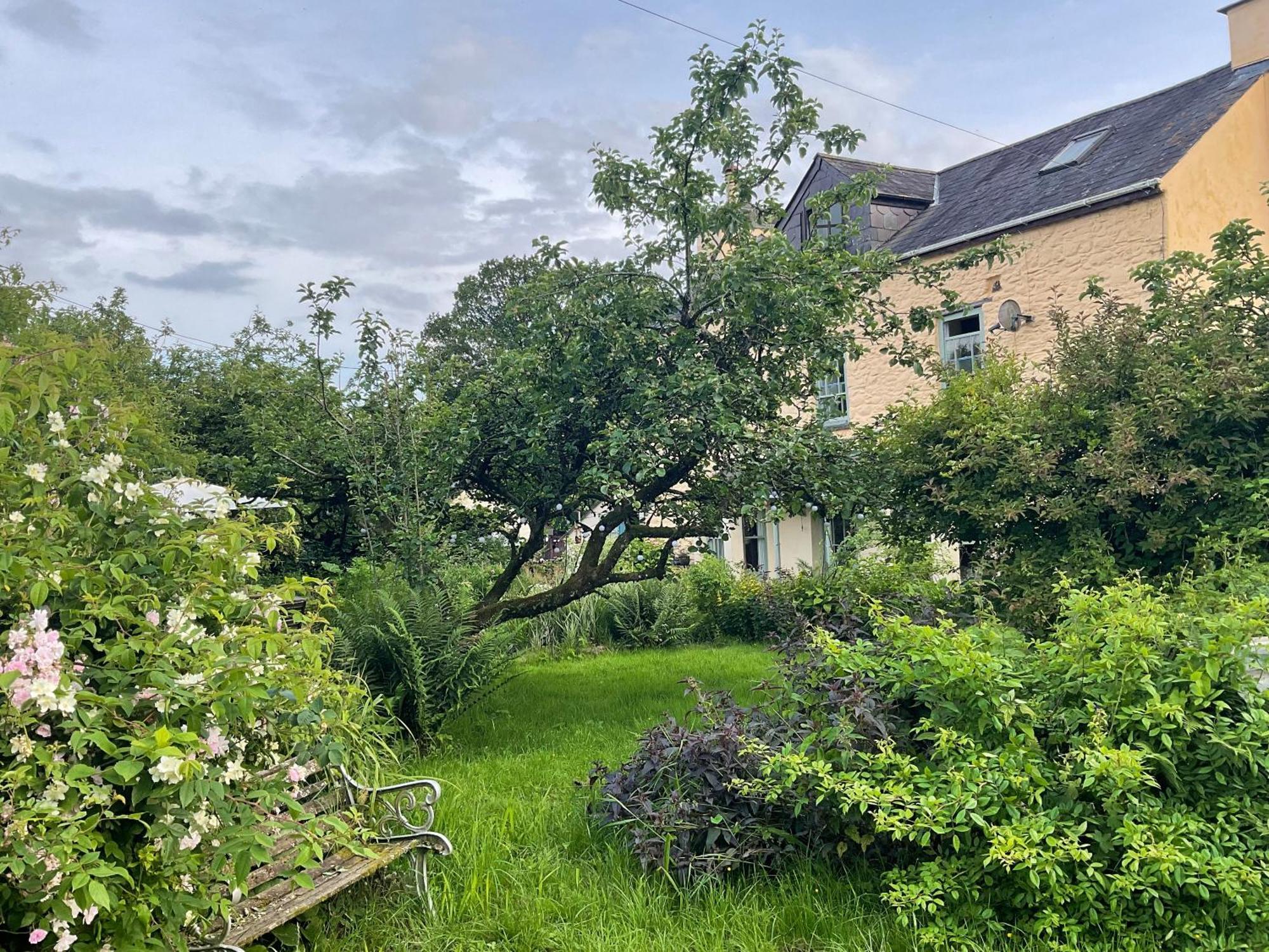 Ynyswen Bed & Breakfast Nantgaredig ภายนอก รูปภาพ