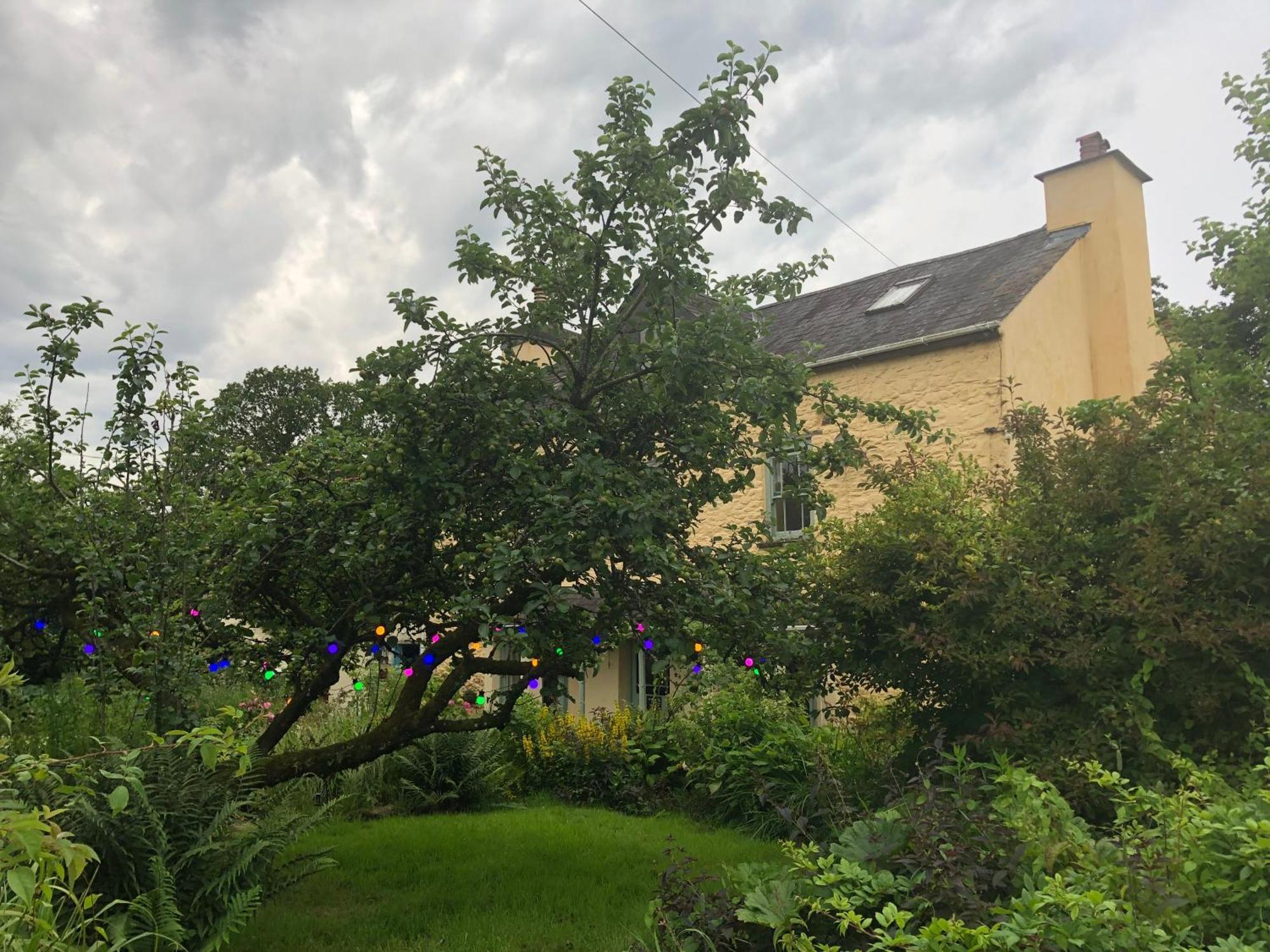 Ynyswen Bed & Breakfast Nantgaredig ภายนอก รูปภาพ
